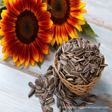 Chinese best raw sunflower seeds